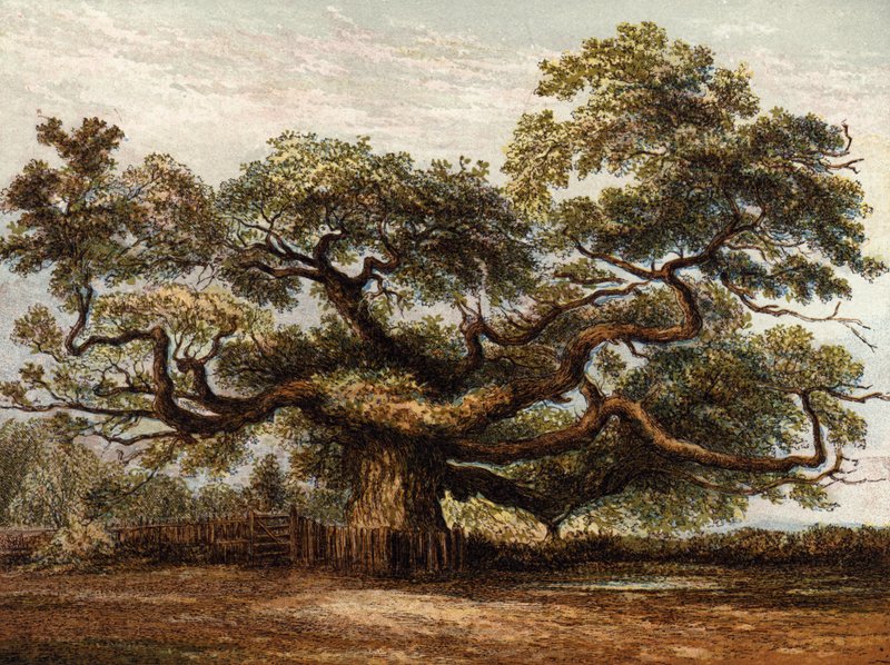 Crouch Oak, Addlestone da English School