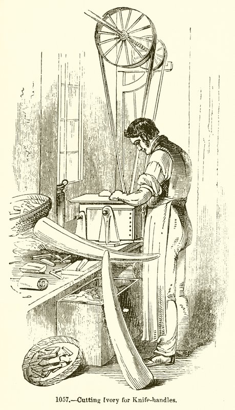 Taglio dell