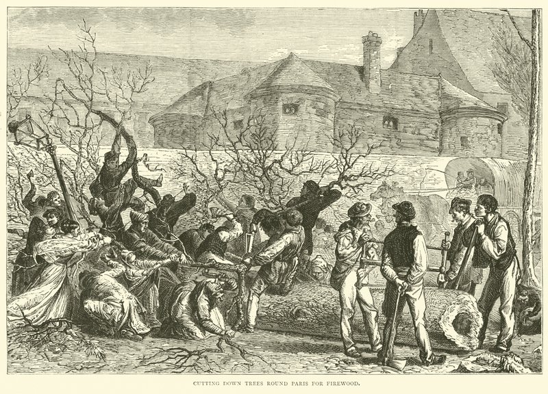 Taglio degli alberi intorno a Parigi per la legna da ardere da English School