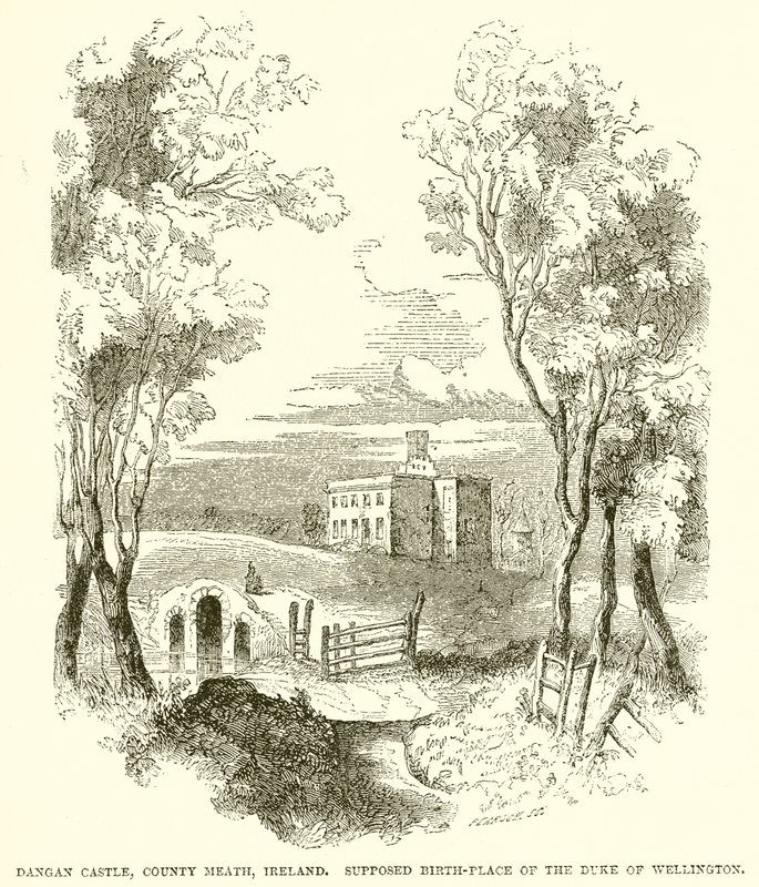 Castello di Dangan, Contea di Meath, Irlanda. Supposto Luogo di Nascita del Duca di Wellington da English School
