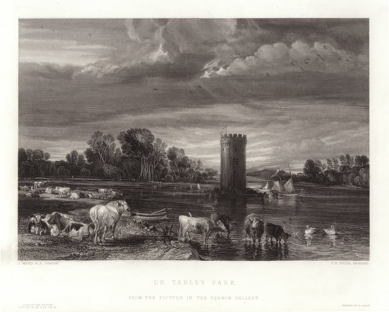 De Tabley Park da English School