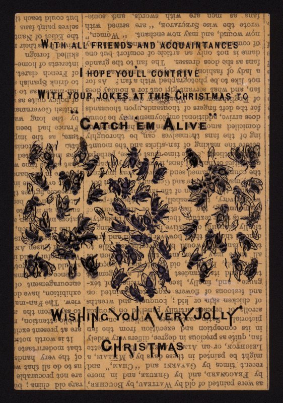 Mosche morte, biglietto di auguri di Natale da English School