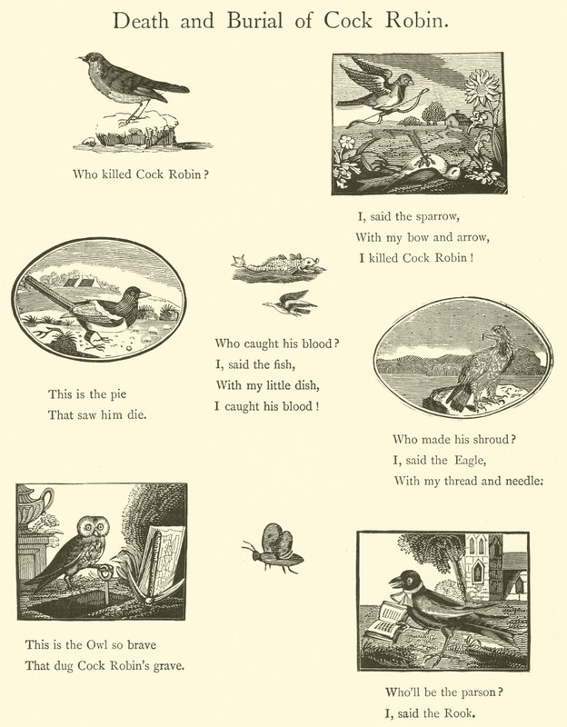 Morte e sepoltura di Cock Robin da English School