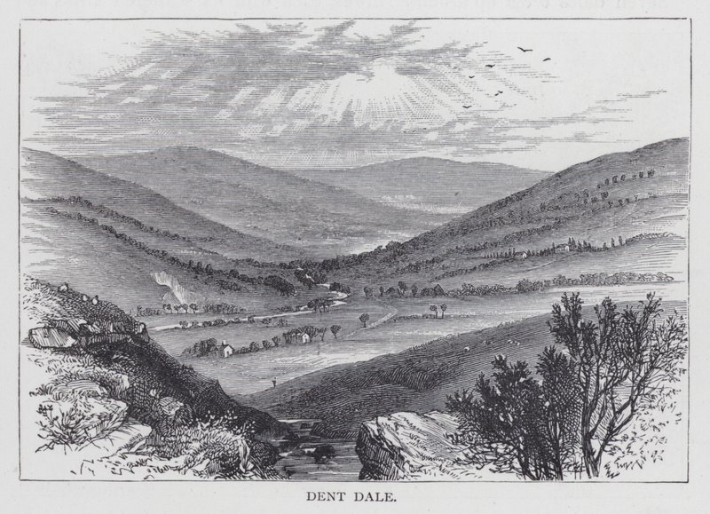 Dent Dale da English School