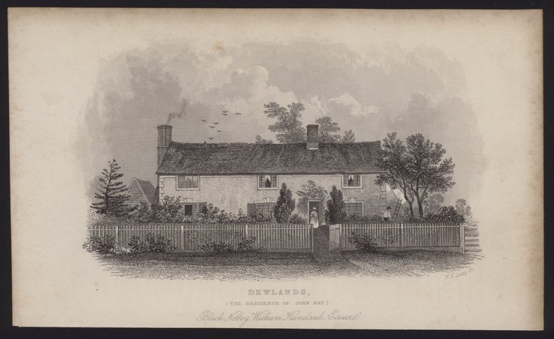 Dewlands, residenza di John Ray, Black Notley, Witham Hundred, Essex (incisione) da English School