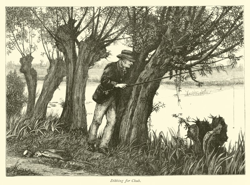 Pesca al Cavedano da English School