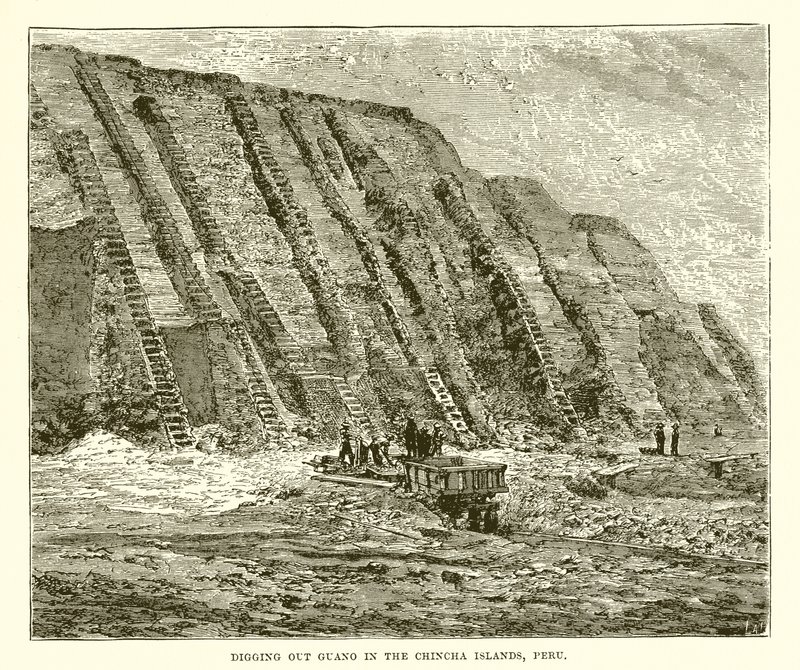 Estrazione del guano nelle isole Chincha, Perù da English School