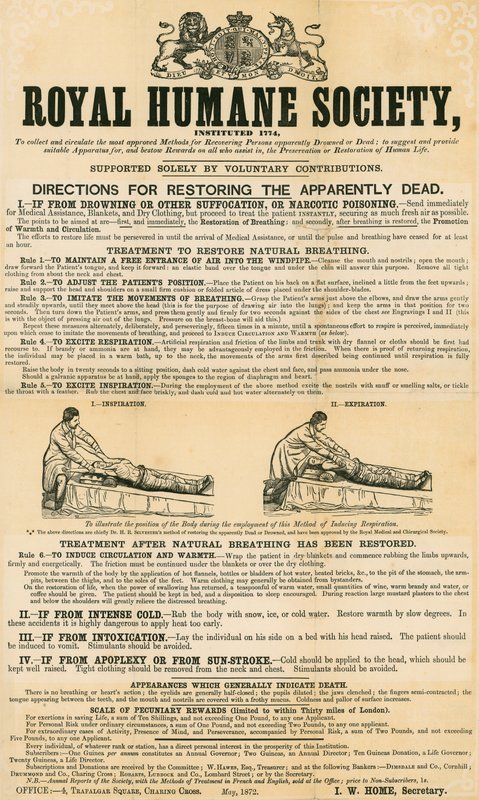 Istruzioni per rianimare i presunti morti; emesso dalla Royal Humane Society, maggio 1872 da English School