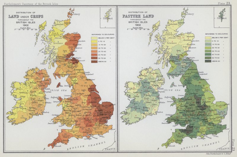 Distribuzione delle terre coltivate, Distribuzione dei pascoli da English School