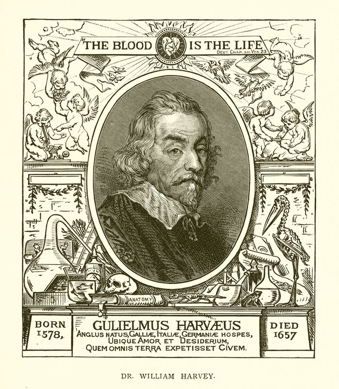 Dr. William Harvey da English School