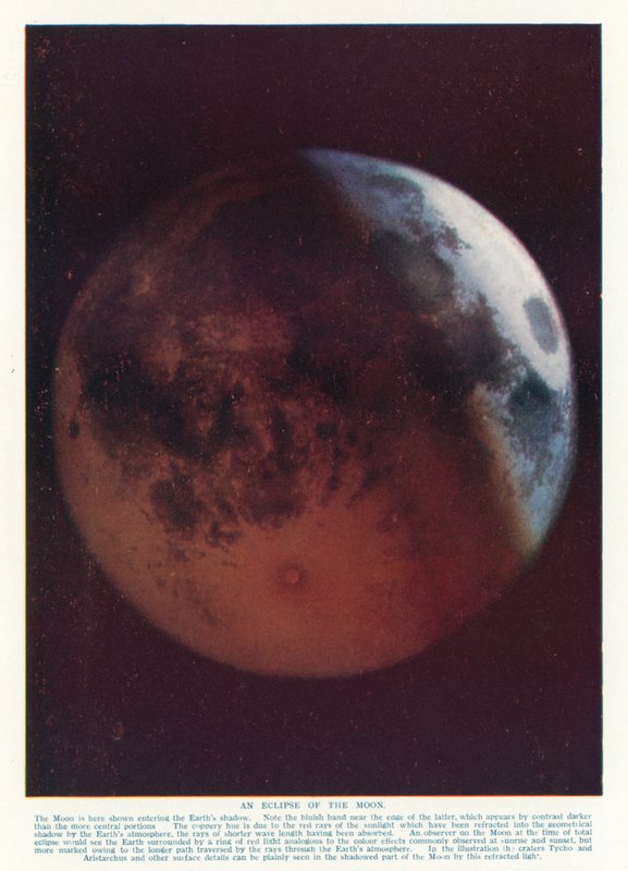 Eclissi della Luna da English School