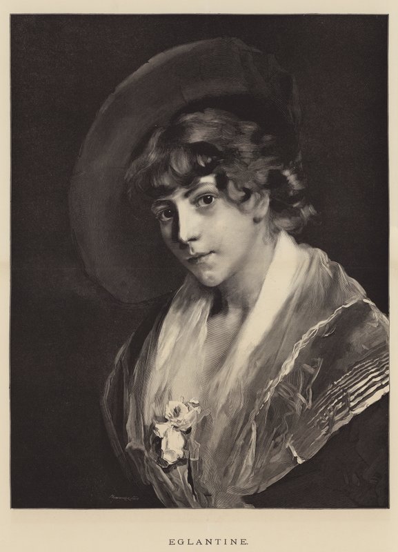 Eglantine (incisione) da English School