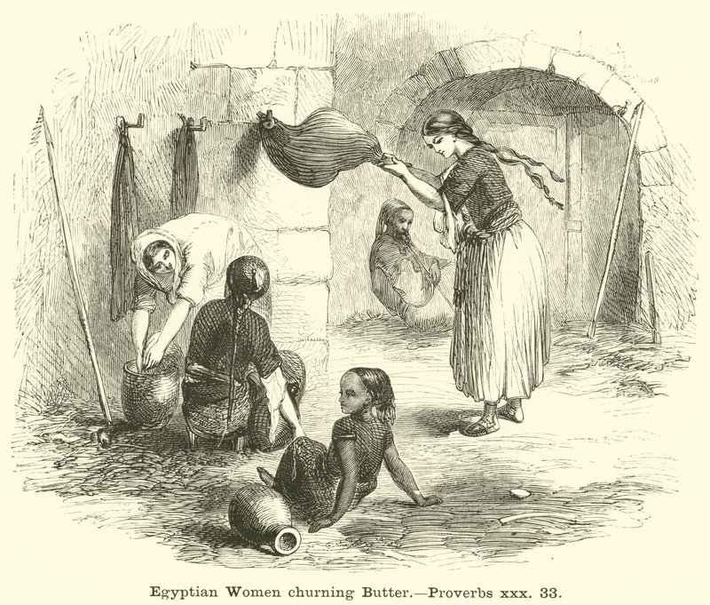 Donne egiziane che fanno il burro, Proverbi, xxx, 33 da English School