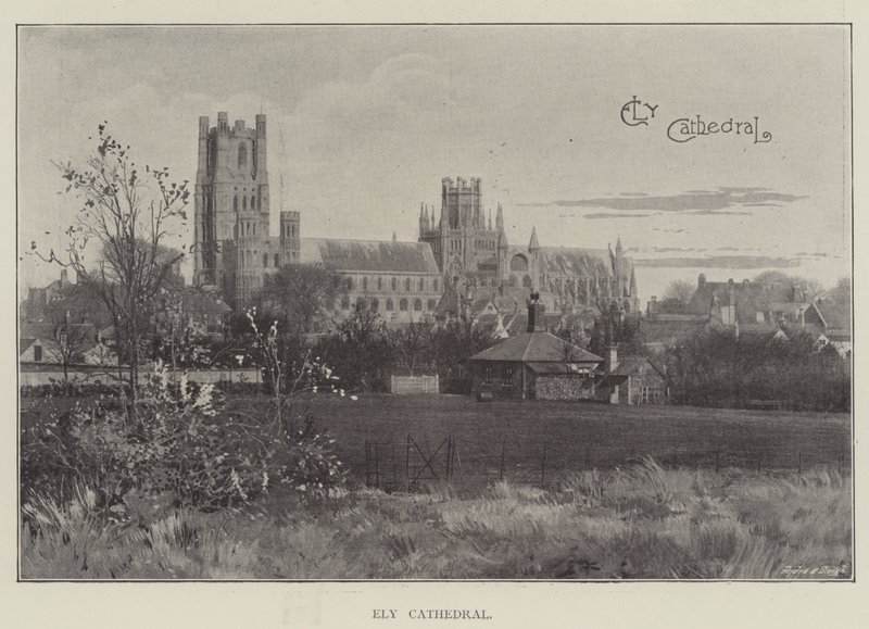 Cattedrale di Ely da English School