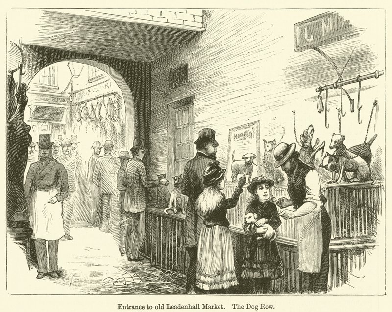 Ingresso del vecchio mercato di Leadenhall, The Dog Row (incisione) da English School