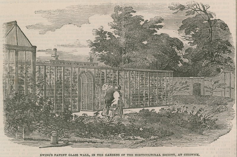 Il Muro di Vetro Brevettato di Ewing nei giardini della Società Orticola a Chiswick da English School