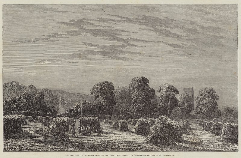 Esposizione di arte britannica moderna, un campo di grano, sera da English School