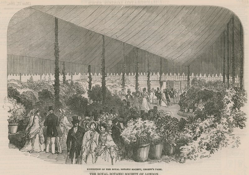 Esposizione della Royal Botanic Society da English School