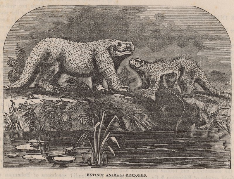 Animali estinti restaurati e esposti al Crystal Palace da English School