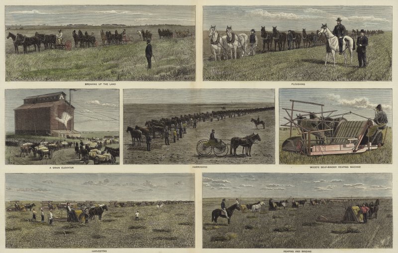 Agricoltura nelle pianure del Nord America da English School