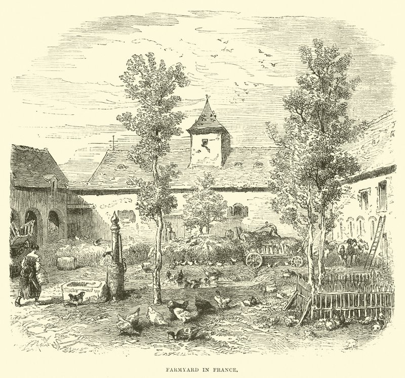 Cortile di una fattoria in Francia da English School