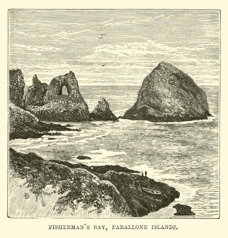 Baia dei Pescatori, Isole Farallone da English School