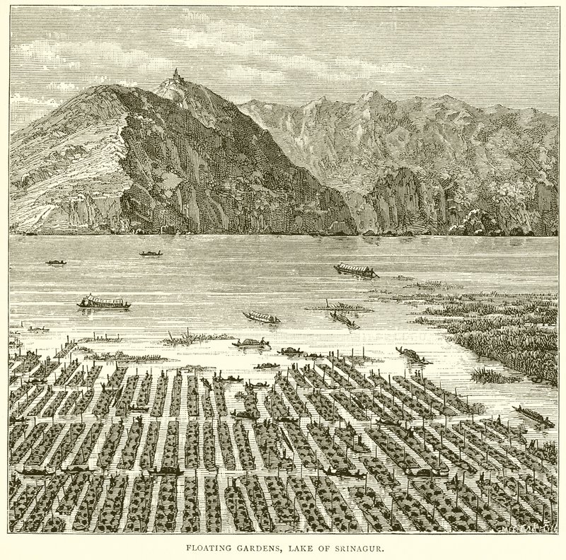 Giardini galleggianti, Lago di Srinagur da English School