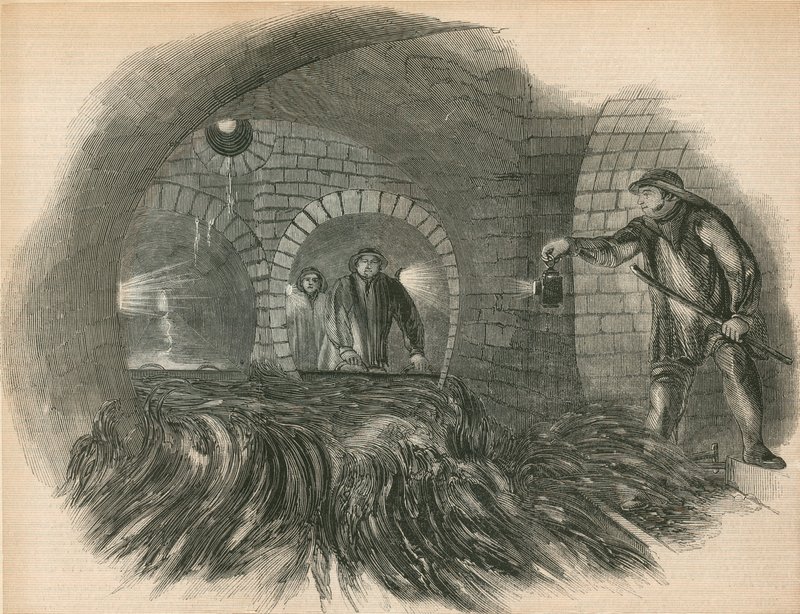 Pulizia delle fogne da English School