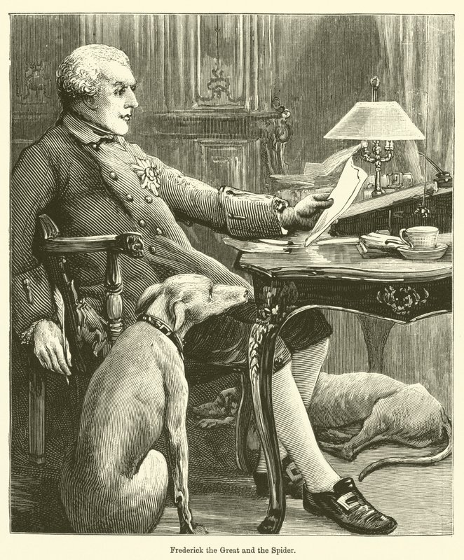 Federico il Grande e il Ragno da English School