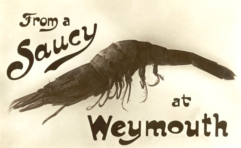 Da un gambero impertinente a Weymouth, cartolina di auguri da English School