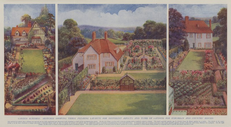 Schemi di giardino, schizzi che mostrano tre gradevoli layout per diversi aspetti e tipi di giardini per case di periferia e di campagna (litografia a colori) da English School