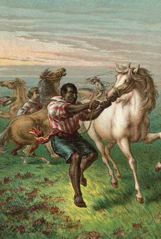 I soldati di Garibaldi che domano cavalli selvaggi da English School