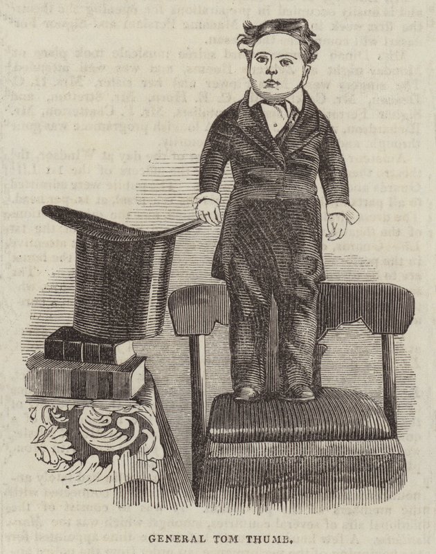 Generale Tom Thumb da English School