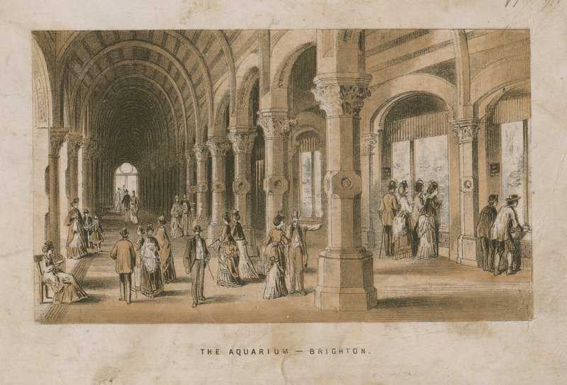 Vista generale dell