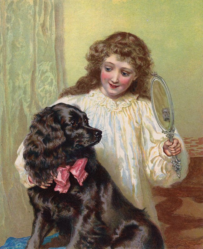 Ragazza che mostra al suo cane il riflesso nello specchio da English School