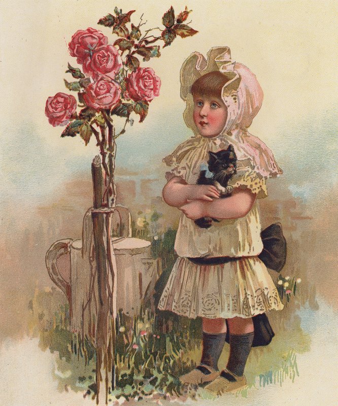 Ragazza con un gatto e un albero di rose da English School