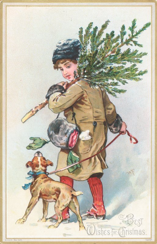 Ragazza con cane che porta un albero di Natale da English School