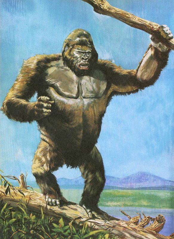 Gorilla da English School