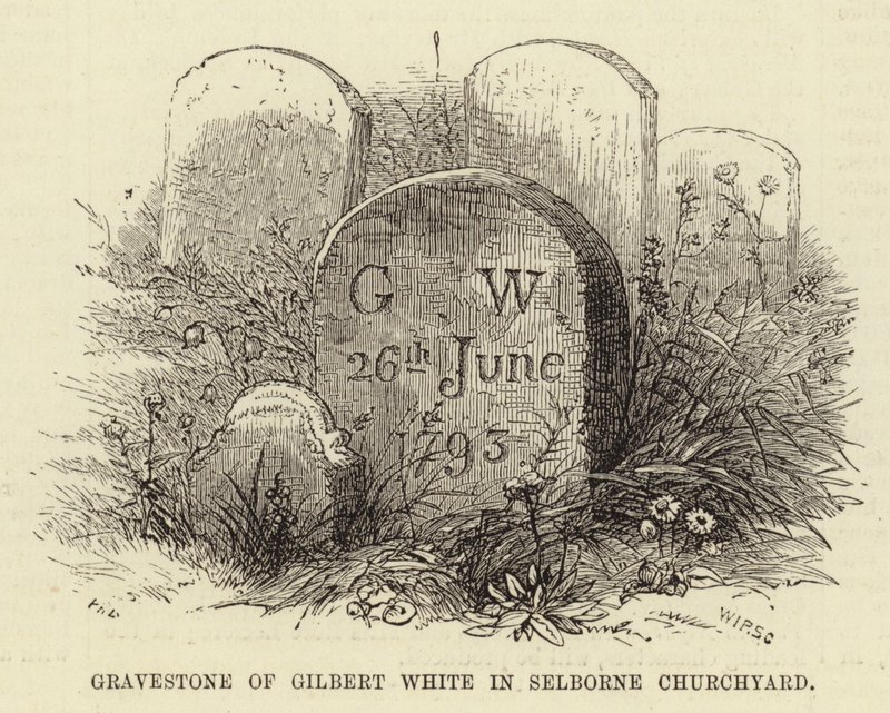 Lapide di Gilbert White nel Cimitero della Chiesa di Selborne da English School