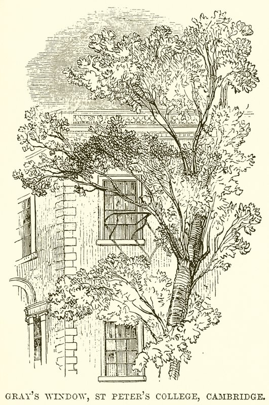 Finestra di Gray, St. Peter