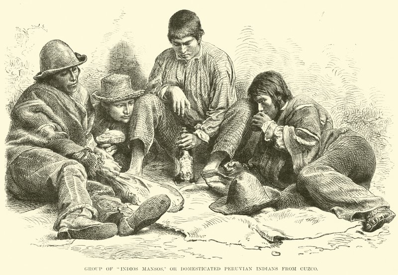 Gruppo di Indios Mansos, o indiani peruviani domestici di Cuzco da English School