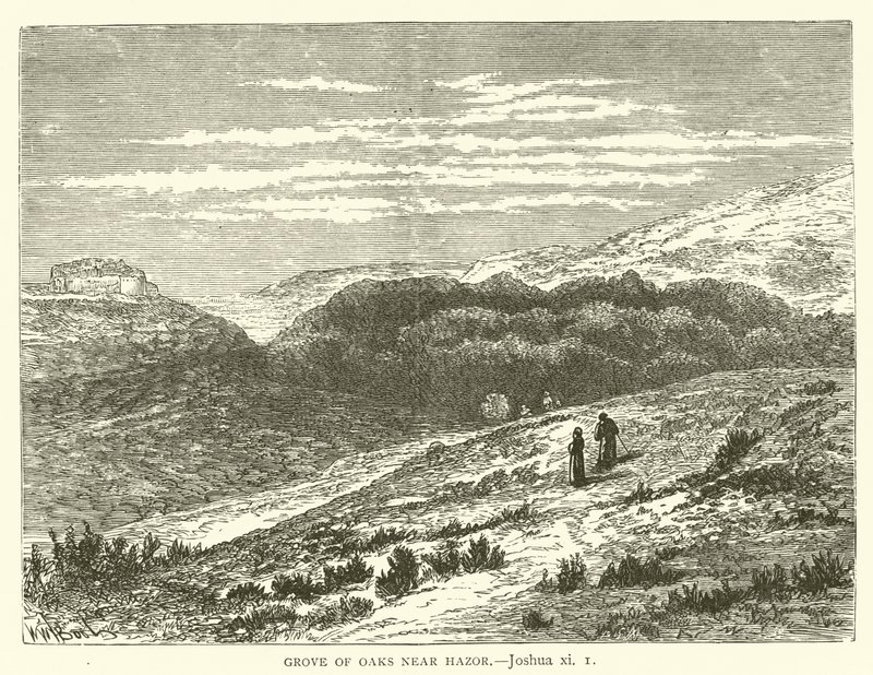 Bosco di Querce vicino a Hazor, Giosuè, xi da English School