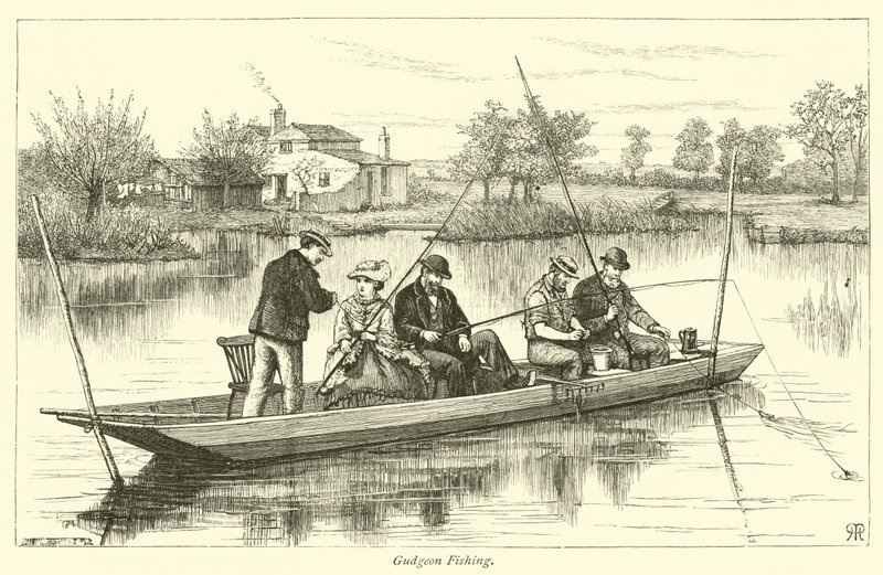 Pesca al Gudgeon da English School