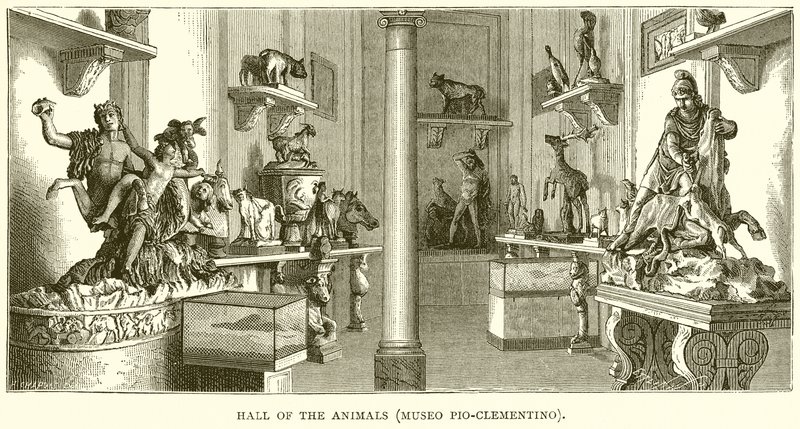 Sala degli Animali (Museo Pio-Clementino) da English School