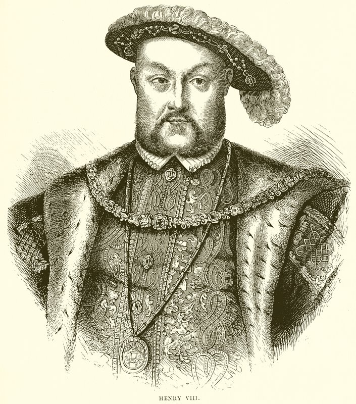 Enrico VIII da English School