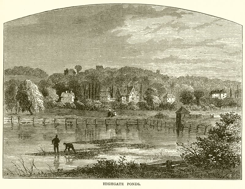Laghi di Highgate da English School