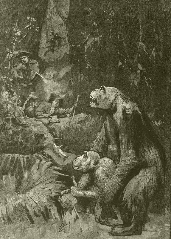 Casa del gorilla (incisione) da English School