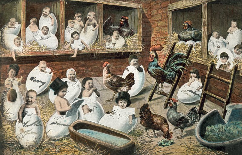 Bambini umani che nascono da uova di gallina da English School