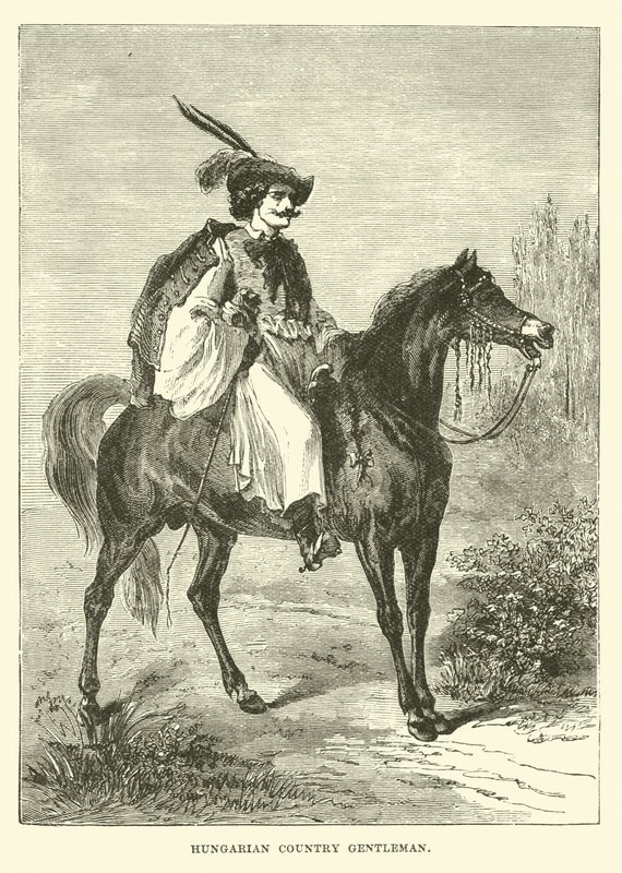 Gentiluomo di campagna ungherese da English School
