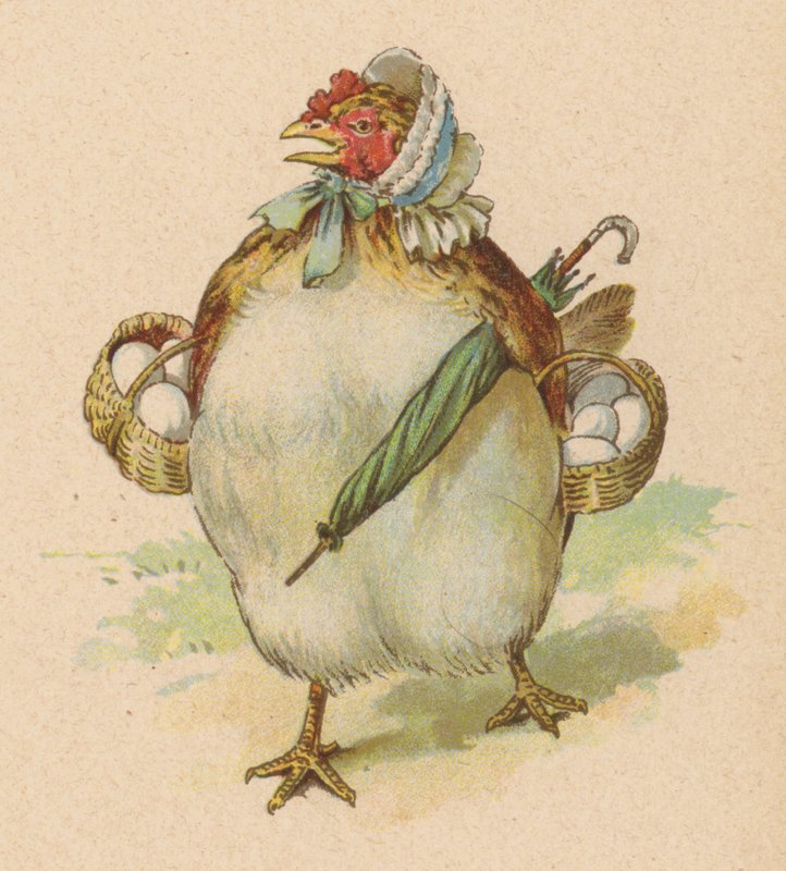 Avevo una gallinella, la più carina mai vista da English School